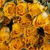 Rose en spray naturelle jaune - Fleurs séchées