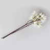 Hippeastrum amaryllis blanche 76 cm - Fleurs artificielles Florissima
