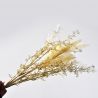 Jocaflor | Pampas et bouquet de fougères - 58 cm - Beige- fleurs artificelles