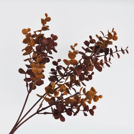 Branche d'eucalyptus brun 62 cm - Fleurs artificielles Florissima