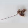 Jocaflor | Branche d'eucalyptus brun - 62cm - Fleurs artificielles
