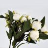 Branche de 7 roses crème 48 cm - Fleurs artificielles Florissima