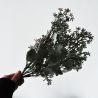 Branche d'eucalyptus 38 cm - Fleurs artificielles Florissima