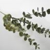 Jocaflor | Branche d'eucalyptus vert - 72cm - Fleurs artificielles
