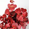 Jocaflor | Branche d'eucalyptus bordeaux - 39cm - Fleurs artificielles