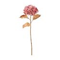 Branche d'hortensia rose 71 cm - Fleurs artificielles Florissima