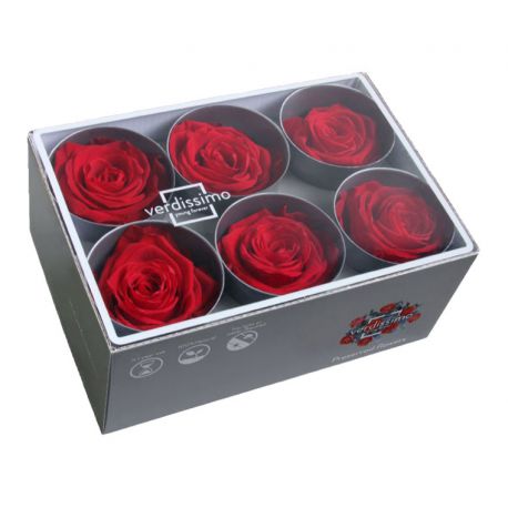 Bouton de rose rouge D 5,5cm x 6 Fleurs préservées VERDISSIMO