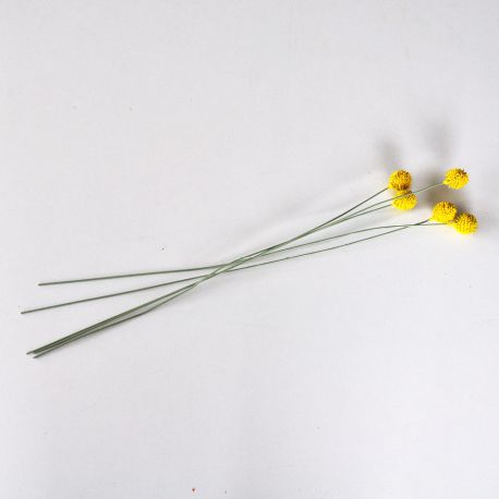 Jocaflor | Craspedia jaune x 5 tiges - 104cm - Fleurs artificiels