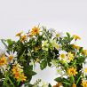 Jocaflor | Couronne de fleurs de marguerite - 15 cm - Fleurs artificielles