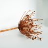 Jocaflor | Allium marron - 53cm - Fleurs artificielles