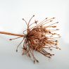 Jocaflor | Allium marron - 53cm - Fleurs artificielles
