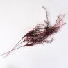 Jocaflor | Branche de feuillage brodeaux - 88cm - Fleurs artificielles