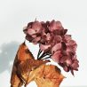 Branche d'hortensia mauve  63 cm - Fleurs artificielles Florissima
