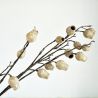 Branche de gousse d'eucalyptus blanc- Fleurs artificielles Florissima
