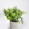 Pot de feuillage Dia pot 7cm xH18cm-Plantes artificielles Florissima