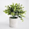 Pot de feuillage vert D7 x H18 cm - Plantes artificielles Florissima