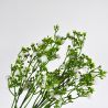 Jocaflor | Gypsophile Blanc x 5 branches - 37 cm - Fleurs Artificielles