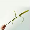 Queue de chat vert 94 cm - Fleurs artificielles Florissima