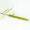 Queue de chat vert 94 cm - Fleurs artificielles Florissima