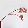 Jocaflor | Branche d'eucalyptus marron - 80cm - Fleurs artificielles