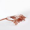 Branche d'eucalyptus marron 80 cm - Fleurs artificielles Florissima
