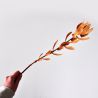 Jocaflor | Protea marron - 74cm - Fleurs artificielles