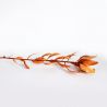 Jocaflor | Protea marron - 74cm - Fleurs artificielles