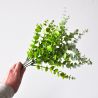 Jocaflor | Eucalyptus vert clair - 46cm - Fleurs artificielles