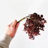 Jocaflor | Branche de feuillage rouge - 69cm - Fleurs artificielles