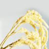 Amaranthe crème 125 cm - Fleurs artificielles Florissima