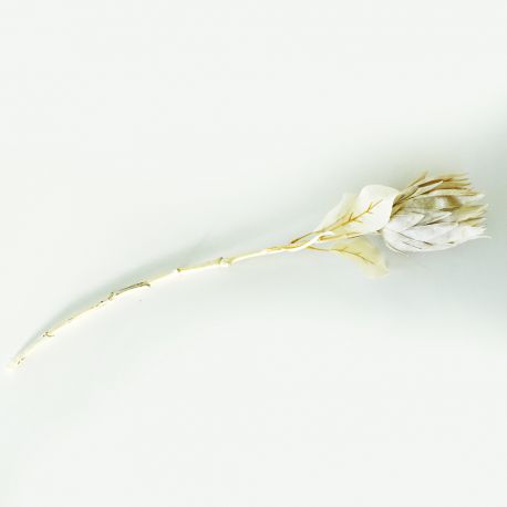 Prothea crème 73 cm - Fleurs artificielles Florissima