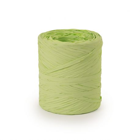 Jocaflor | Poly raphia couleur Vert amande- 15mm x 200m