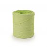 Poly raphia couleur Vert amande- 15mm x 200m