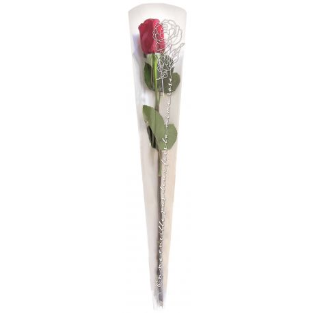 Cone à roses blanc motif blanc - 65x13.5cm - 100 pcs