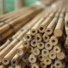 Bambou stick X 10 pcs - tuteur - Bois