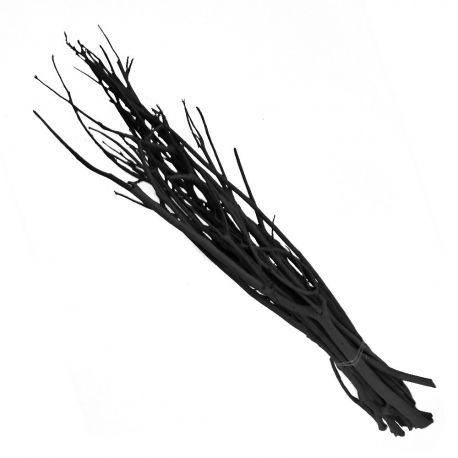Mitsumata noir : 100 cm x 10 pièces