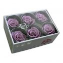 Jocaflor | Bouton de rose préservé lilas Diamètre 5.5cm Boîte de 6