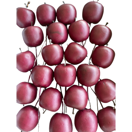 Jocaflor | Boîte de pomme rouge sur pique fil de fer 4cm x 24pcs