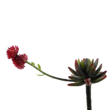 Jocaflor | Succulente 20cm - Fleurs artificiels