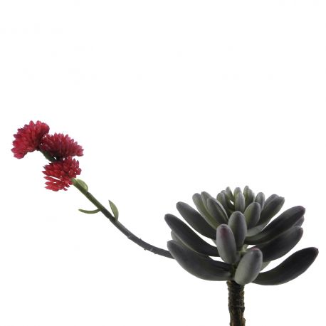 Jocaflor | Succulente 22cm - Fleurs artificiels